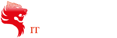 IT SECURITY SOLUTIONS