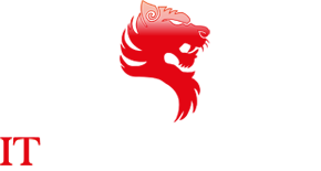 IT SECURITY SOLUTIONS